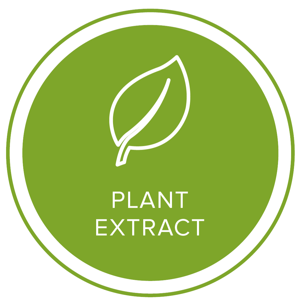 icona estratti vegetali plant extract icon